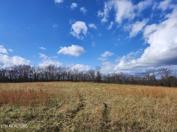 379 Christenson Rd, Deer Lodge, TN 37726