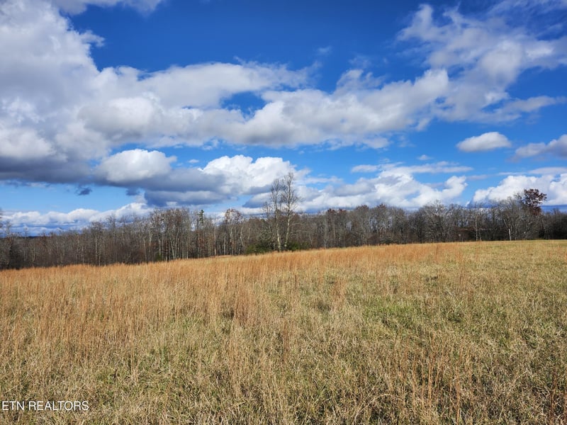 379 Christenson Rd, Deer Lodge, TN 37726