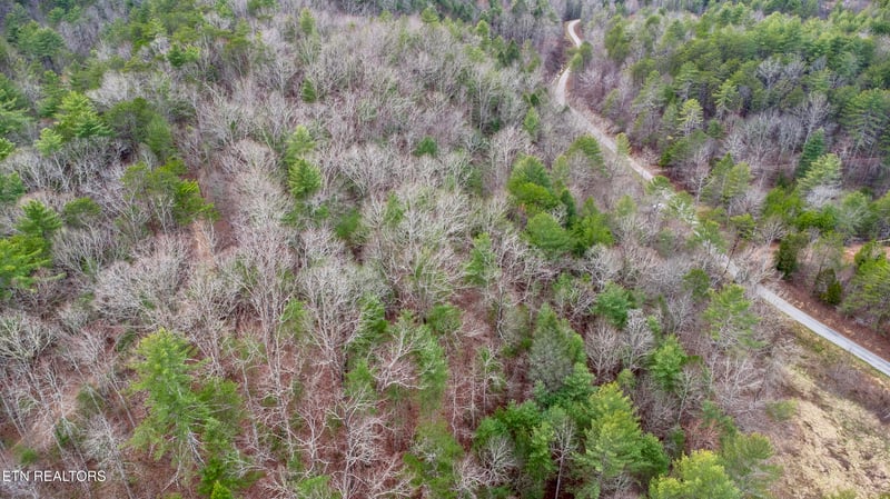 379 Maple Springs Rd, Reliance, TN 37369