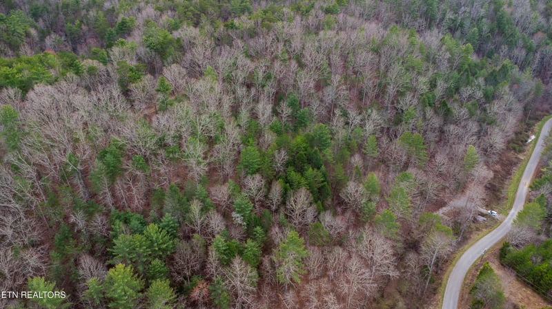 379 Maple Springs Rd, Reliance, TN 37369