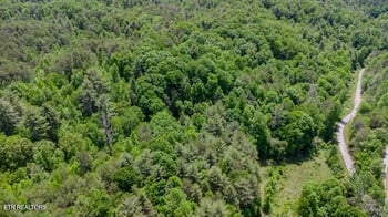 379 Maple Springs Rd, Reliance, TN 37369