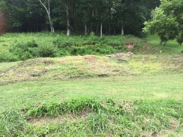 379 Mudd St, Helenwood, TN 37755