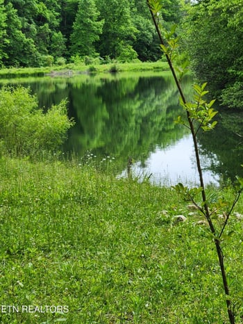 380 Seng Garden Rd, Tellico Plains, TN 37385