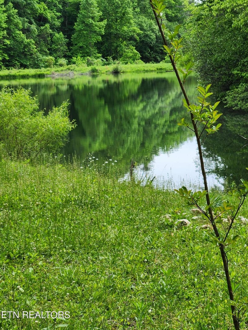380 Seng Garden Rd, Tellico Plains, TN 37385