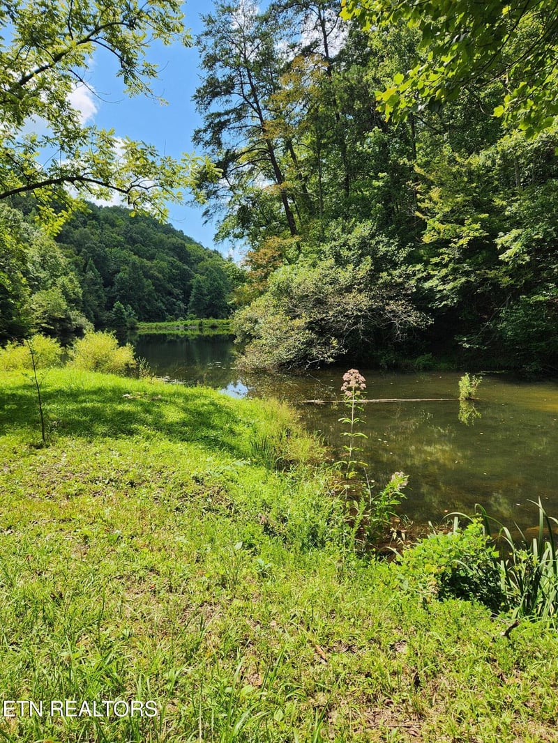 380 Seng Garden Rd, Tellico Plains, TN 37385