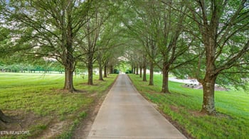 3801 Jackson Bend Dr, Louisville, TN 37777