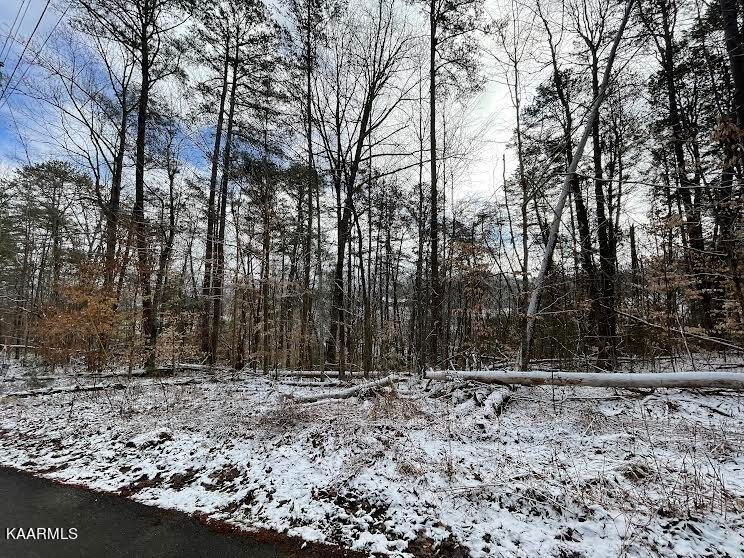 3807 Saddle Brook Way, Sevierville, TN 37862