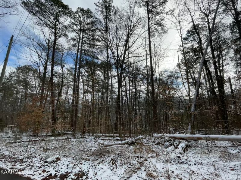 3807 Saddle Brook Way, Sevierville, TN 37862