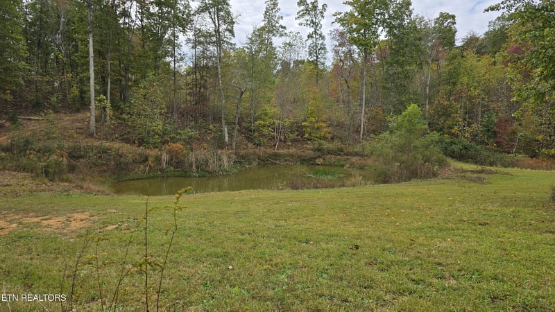 381 Grapevine Rd, Crossville, TN 38572