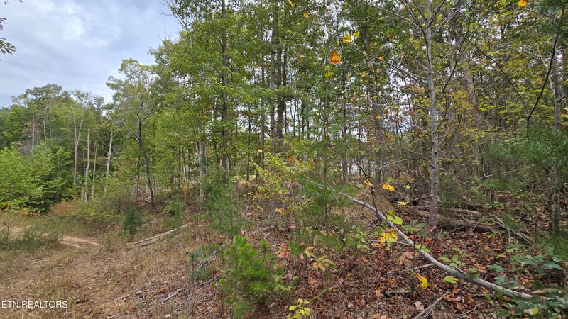 381 Grapevine Rd, Crossville, TN 38572