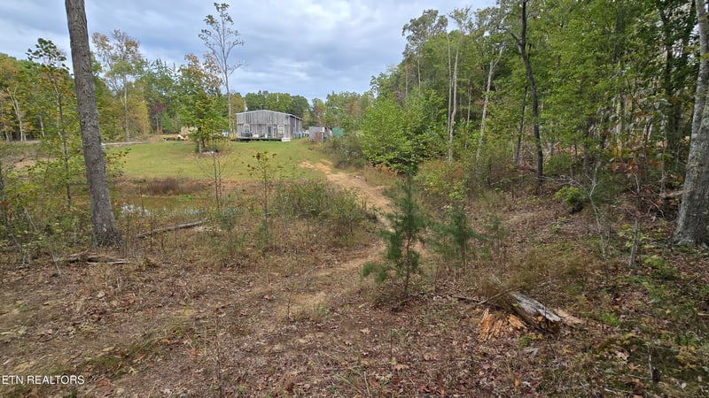 381 Grapevine Rd, Crossville, TN 38572