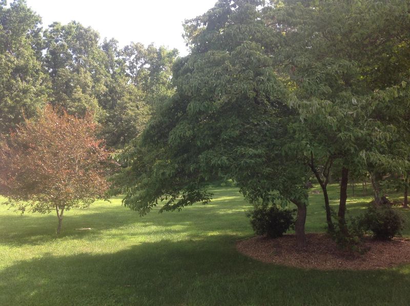 381 Stonecrest Loop, Crossville, TN 38571