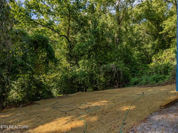 3821 Bonnie View Ave, Knoxville, TN 37914