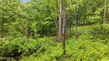 3824 Strong Rd, Mascot, TN 37806