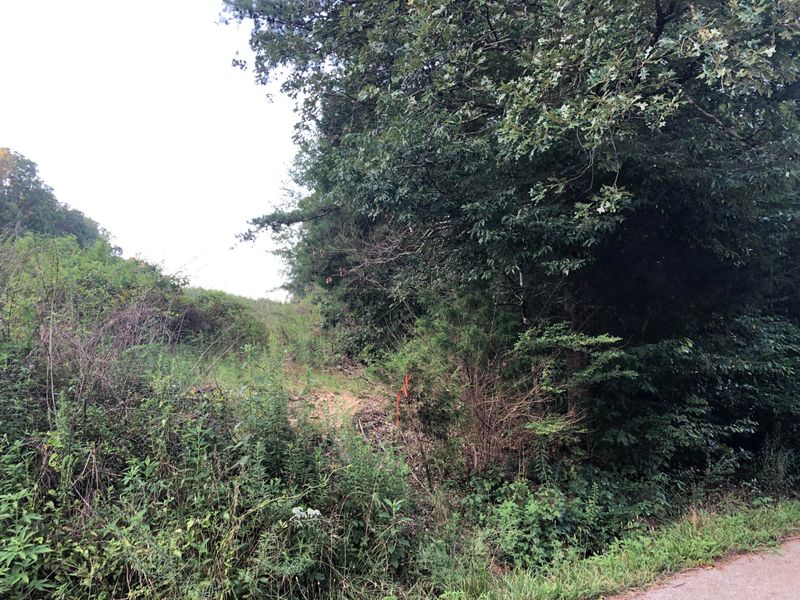 383 Ladd Ridge Rd, Kingston, TN 37763