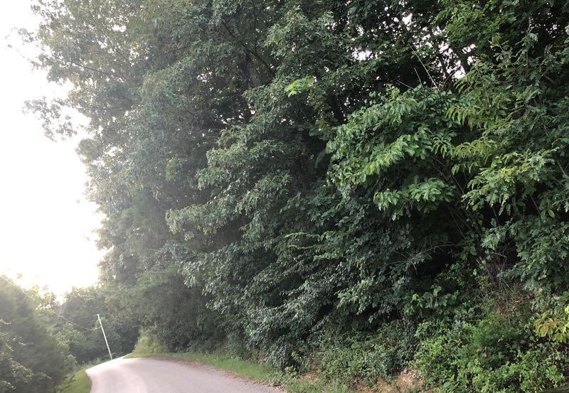 383 Ladd Ridge Rd, Kingston, TN 37763