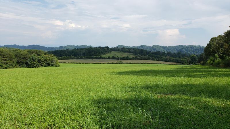 383 N Fork Loop, Madisonville, TN 37354