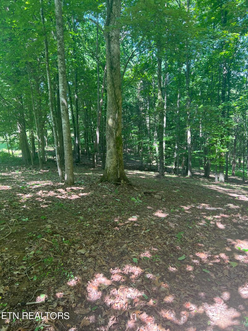 3841 Poplar Ln, Kodak, TN 37764