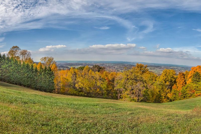 3841 Thomas Cross Rd, Sevierville, TN 37876