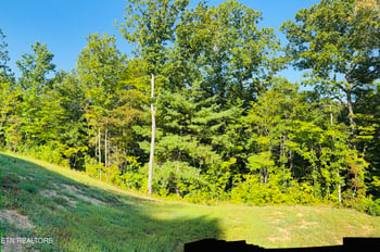 386 Higby Pvt Rd, Robbins, TN 37852