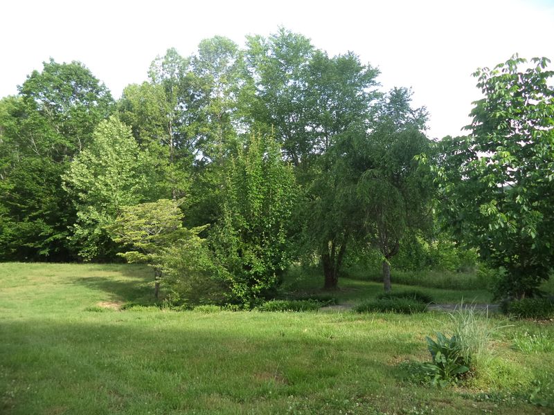 388 Lancer Rd, Harriman, TN 37748