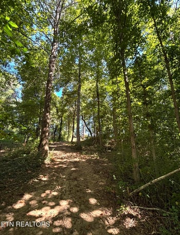 388 W Toomey Ln, Madisonville, TN 37354