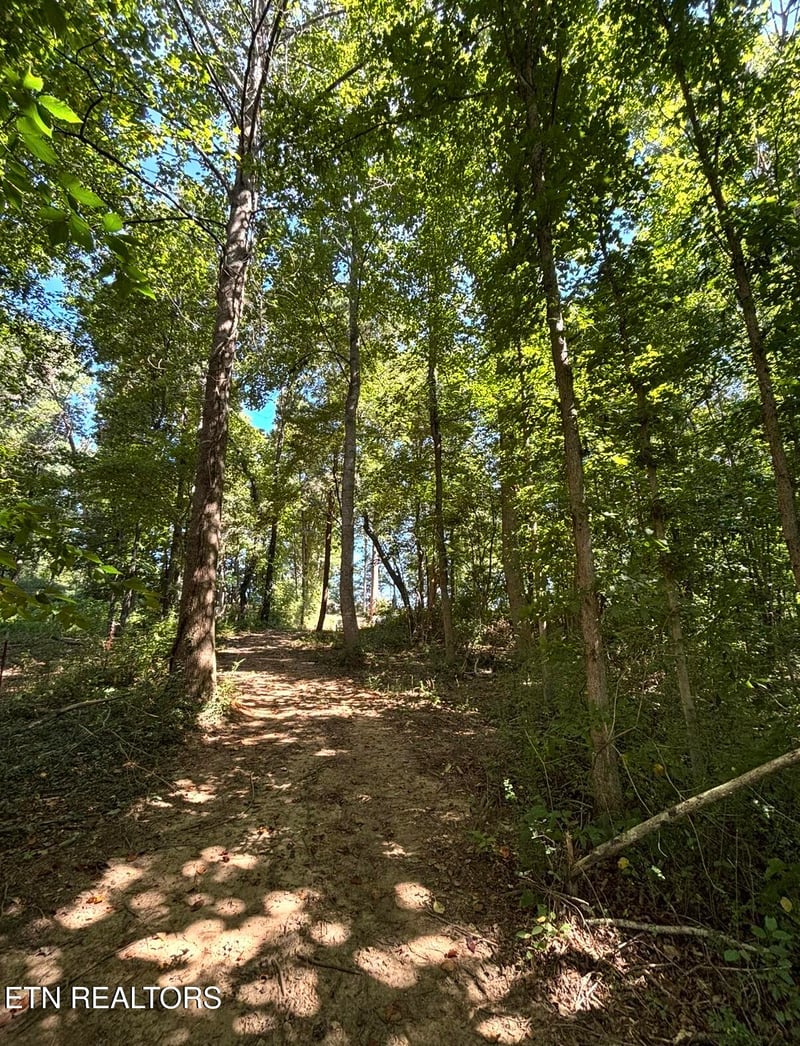 388 W Toomey Ln, Madisonville, TN 37354