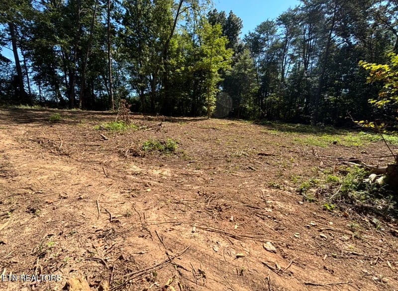 388 W Toomey Ln, Madisonville, TN 37354