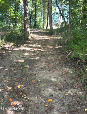 388 W Toomey Ln, Madisonville, TN 37354
