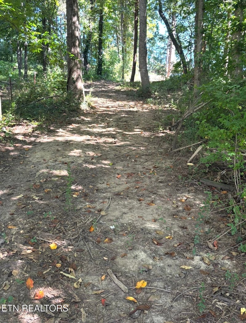 388 W Toomey Ln, Madisonville, TN 37354