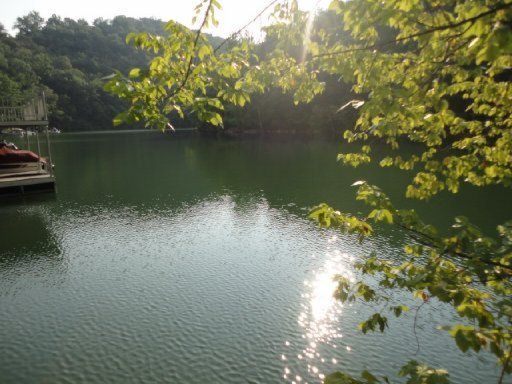 389 Clear Lake, Jacksboro, TN 37757