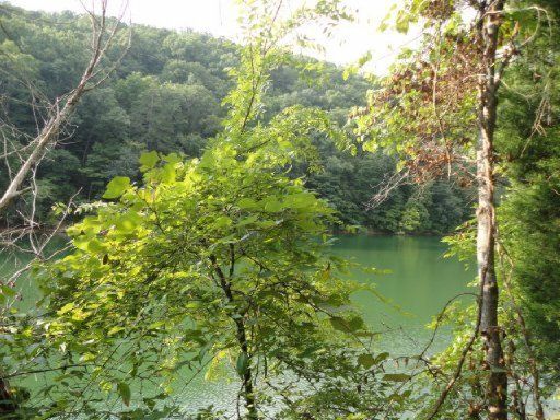 389 Clear Lake, Jacksboro, TN 37757