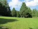 389 Scandlyn Hollow Rd, Oliver Springs, TN 37840