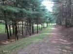 389 Scandlyn Hollow Rd, Oliver Springs, TN 37840