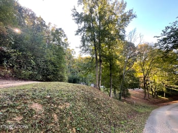 389 Shady Pine Ln, Newcomb, TN 37819