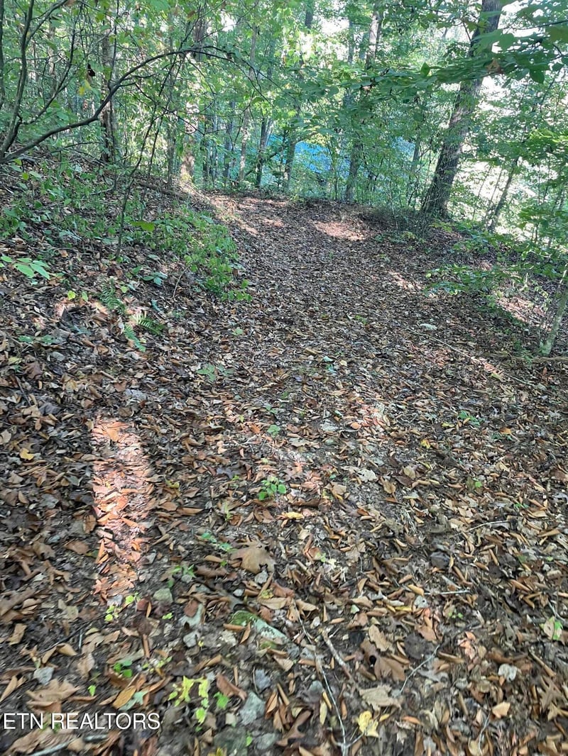 389 Shady Pine Ln, Newcomb, TN 37819