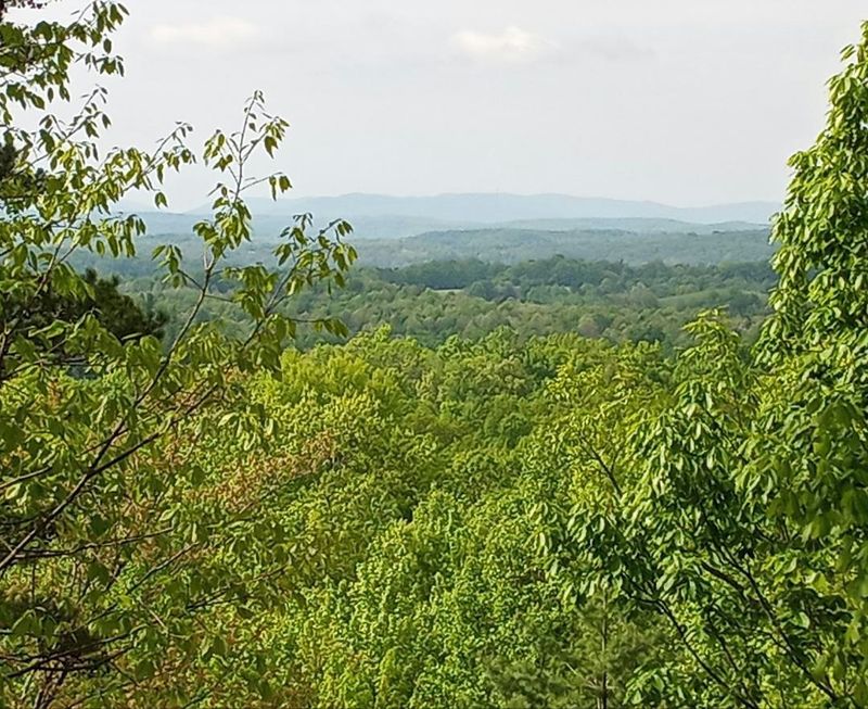 389 Shug Mtn Rd, Oneida, TN 37841