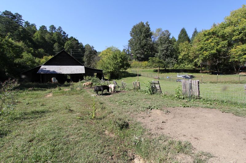 3890 Richardson Cove Rd, Sevierville, TN 37876
