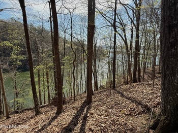 39 Eerie Point lot 39, Rockwood, TN 37854