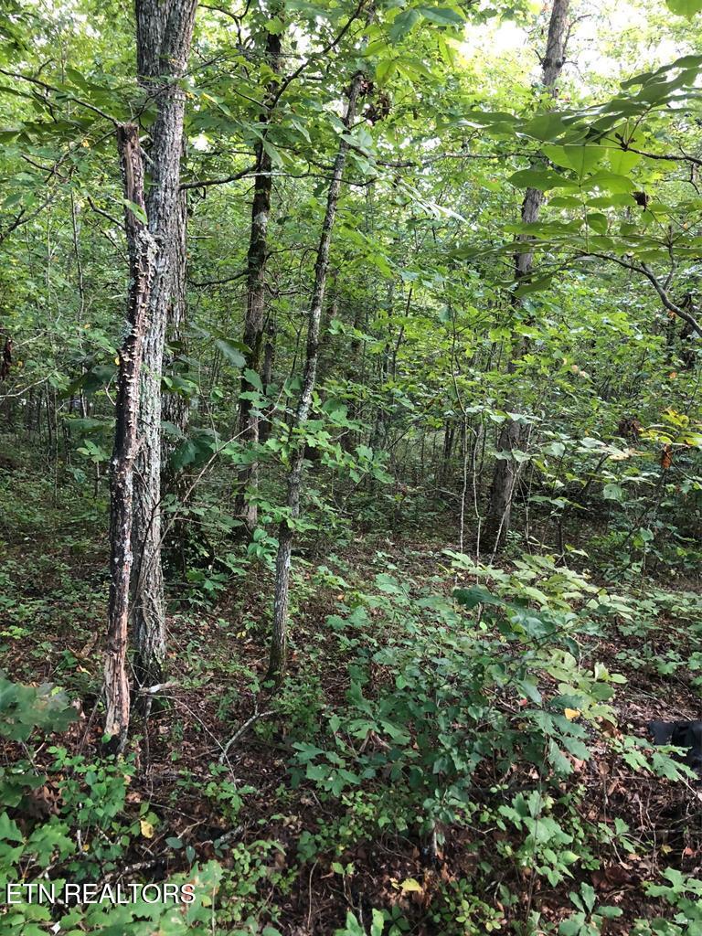39 Luka Ln, Crossville, TN 38572
