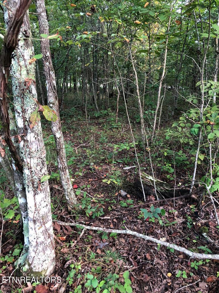 39 Luka Ln, Crossville, TN 38572