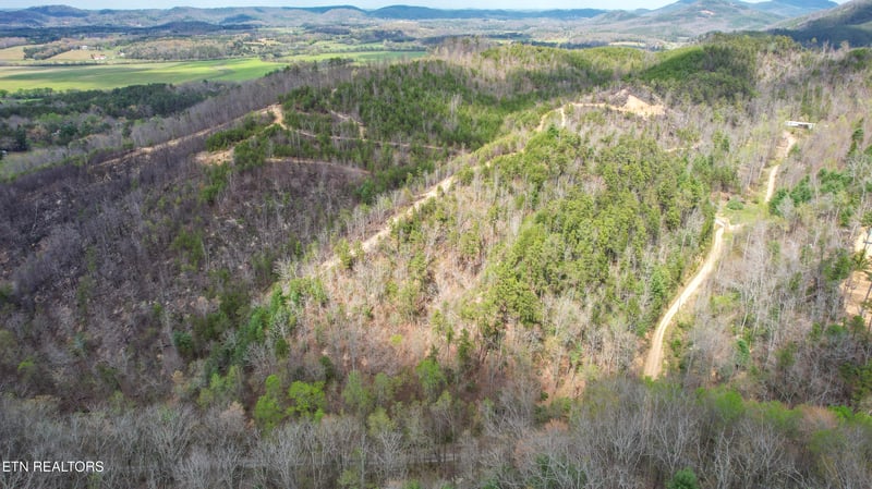 39.02 AC Lake Heights Rd, Tellico Plains, TN 37385