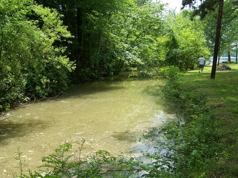 390 Blue Springs Cir, Kingston, TN 37763