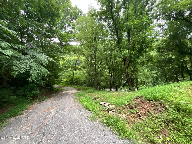 3900 Roberts Rd, Corryton, TN 37721