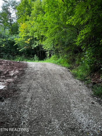 3900 Roberts Rd, Corryton, TN 37721