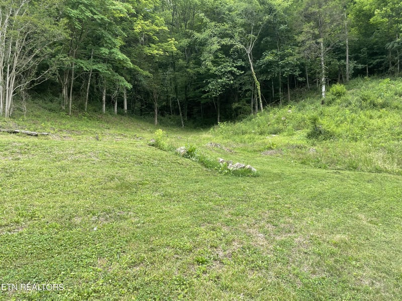 3901 Greenway Dr, Knoxville, TN 37918