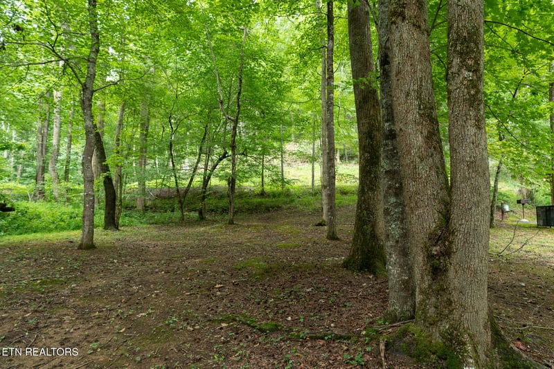 3905 Fern Brook Way, Sevierville, TN 37862