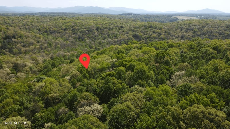 391 Ridge Rd, Lancing, TN 37770