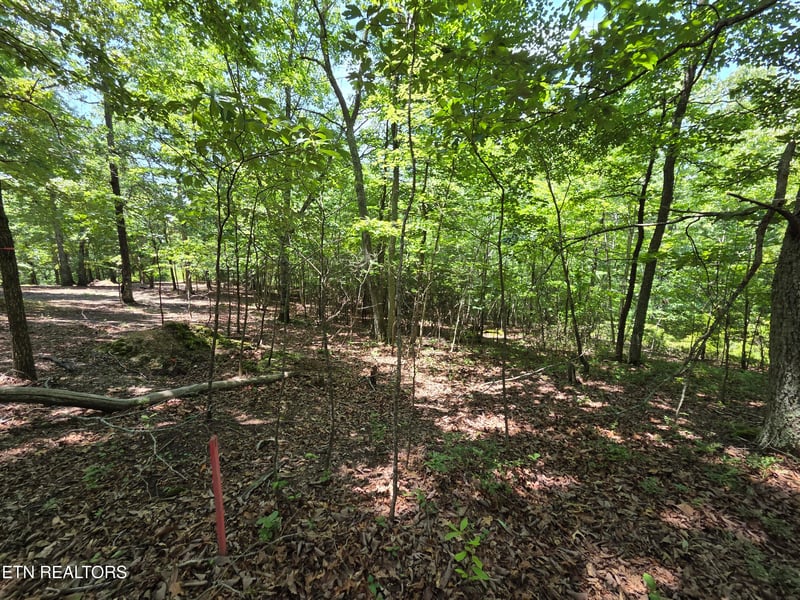 391 Thief Neck View Dr, Rockwood, TN 37854