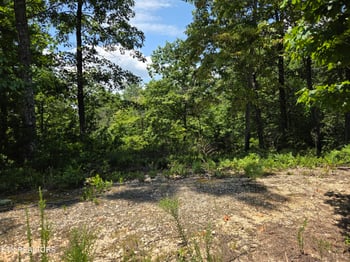 391 Thief Neck View Dr, Rockwood, TN 37854